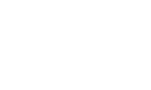 logo 白色
